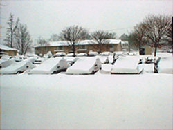 Snowy Cars, 1/4/02